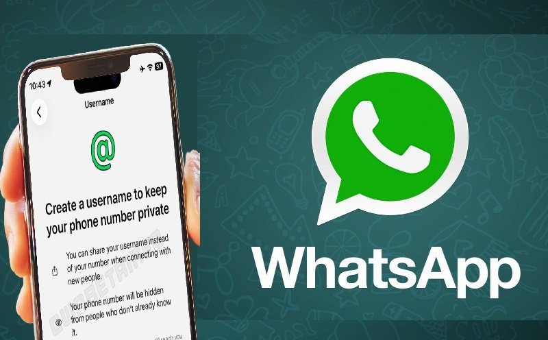 WhatsApp Usernames Android iOS